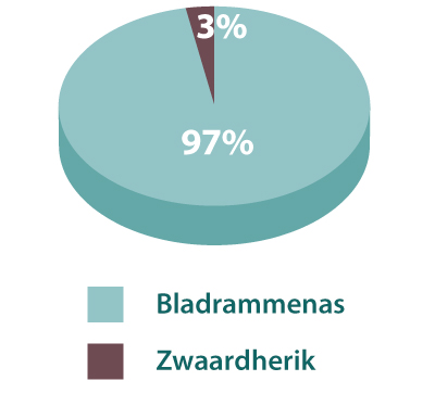 Bladrammenas-glb-grafiek