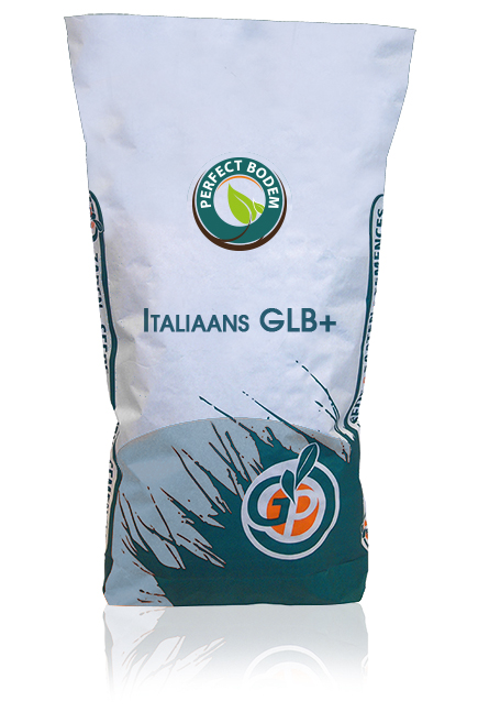 Italiaans-GLB