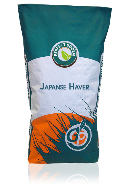 Japanse-Haver-wit