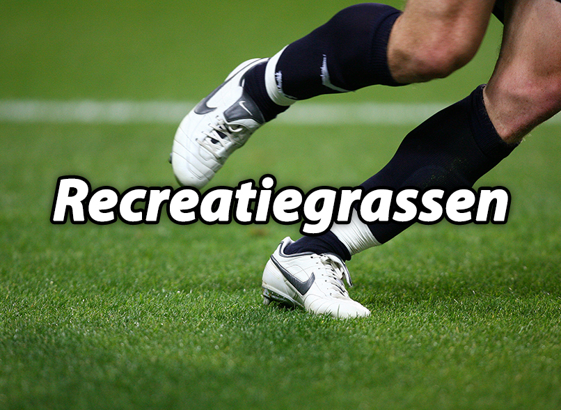 Recreatiegrassen