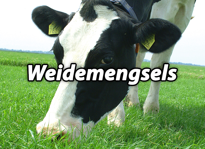 Weidemengsels