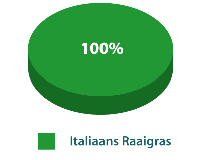 Italiaans-gras